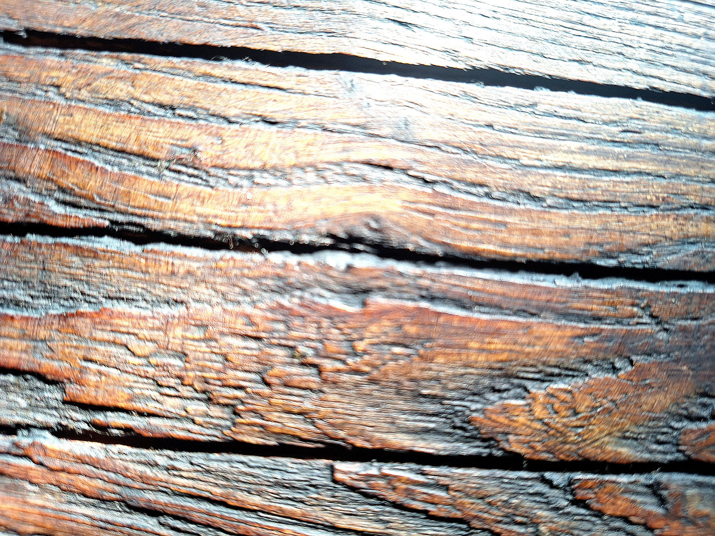 Antique Elm Six-plank Coffer
