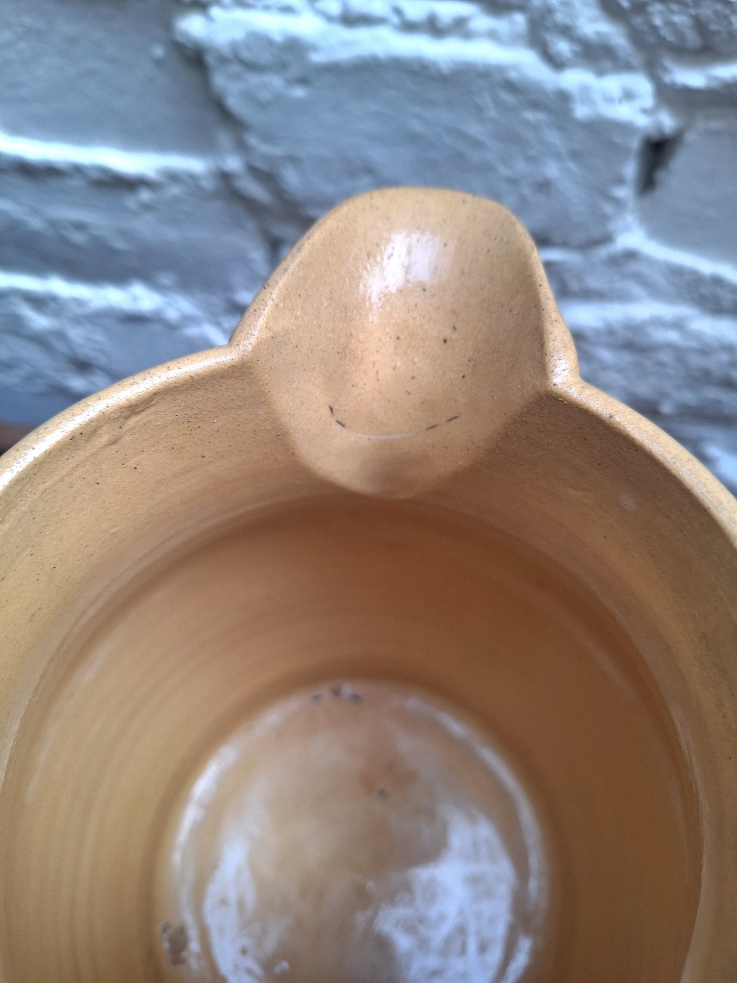 Antique 19th Century Mochaware Large Jug Leaf/Tree Pattern